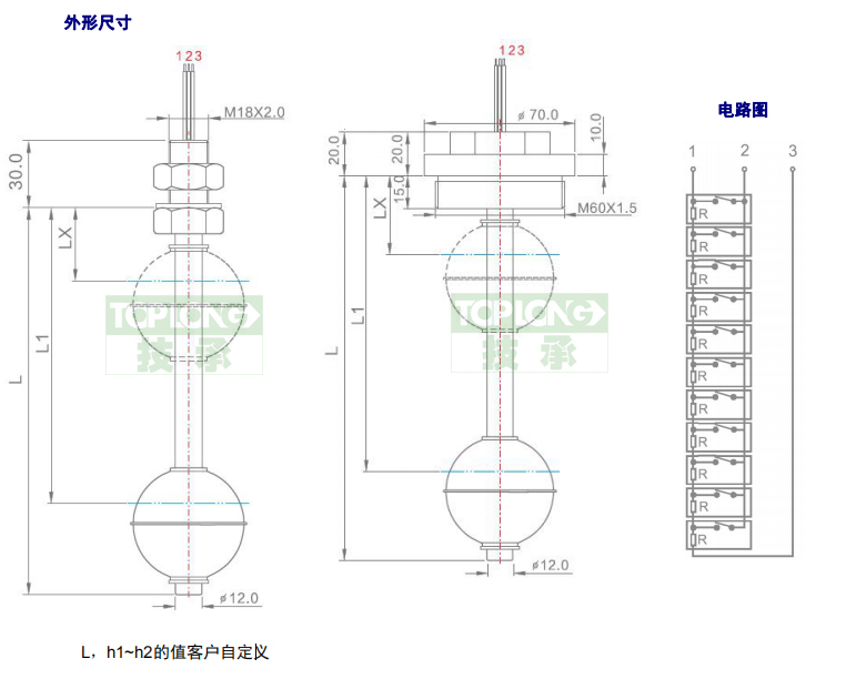 2260型直桿式液位計(jì)（開關(guān)）